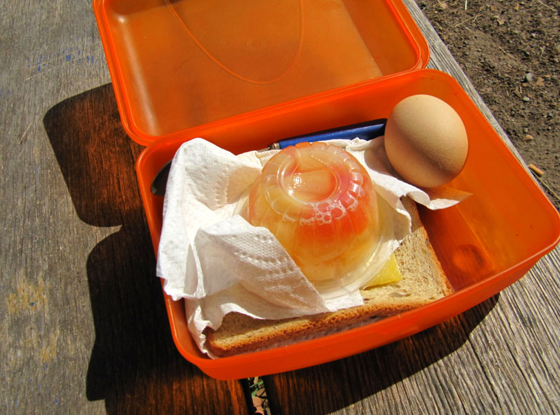 Typical Lunch Box