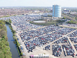 Purple Parking