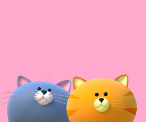Admiral Pet Insurance