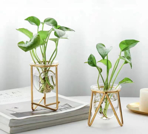 Frisson Home