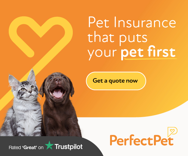 Perfect Pet Insurance