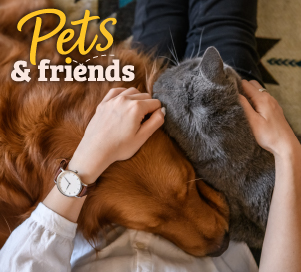 Pets & Friends