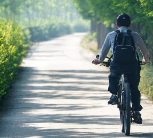 Ride Zero