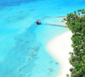 TopDog Travel Insurance