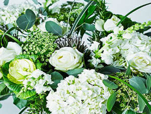 Florist by Waitrose & Partners