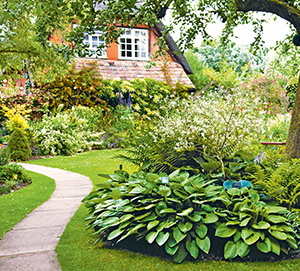 Garden by Waitrose & Partners