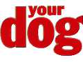 Your Dog