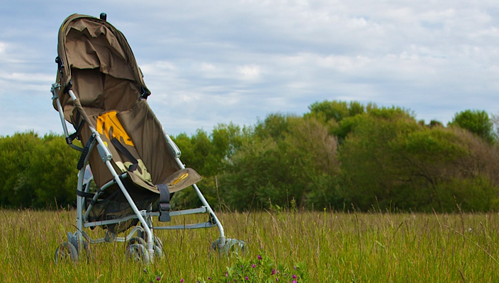 Dunelm prams hot sale