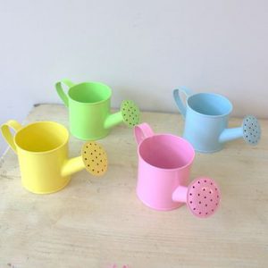 Mini Pastel Watering Can