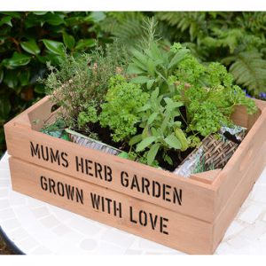 Personalised Medium Crate With Herb Seeds