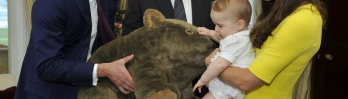 Prince_George_of_Cambridge_with_wombat_plush_toy_(crop)